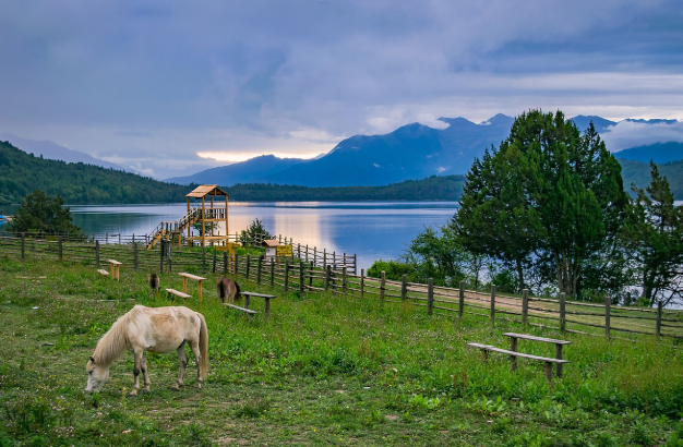 Rara Lake Trek 11D