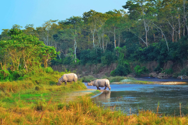 Chitwan National Park