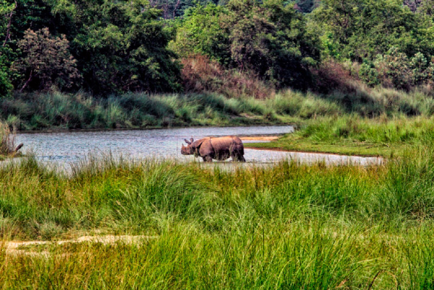 Koshi Tappu Wildlife Reserve